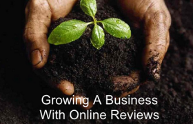 Growing A Business With Online Reviews